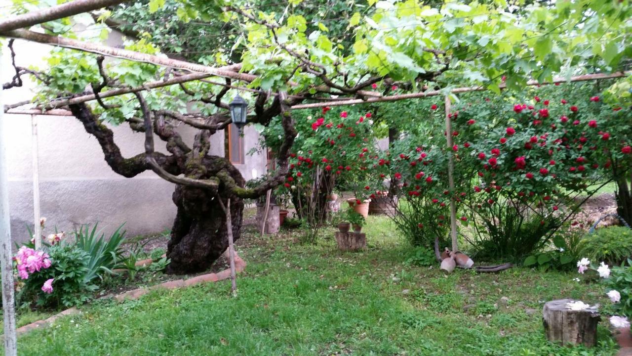 Tsinandali Edem - Tsinandlis Edemi - Цинандали Эдем Otel Dış mekan fotoğraf